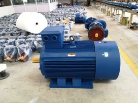 變頻防爆電機代號-防爆電機防爆標識CT4和BT4區別